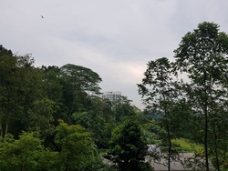 Eco Sanctuary (D23), Condominium #175095922